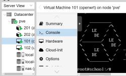 Featured image of post PVE 更新 OpenWrt 教程