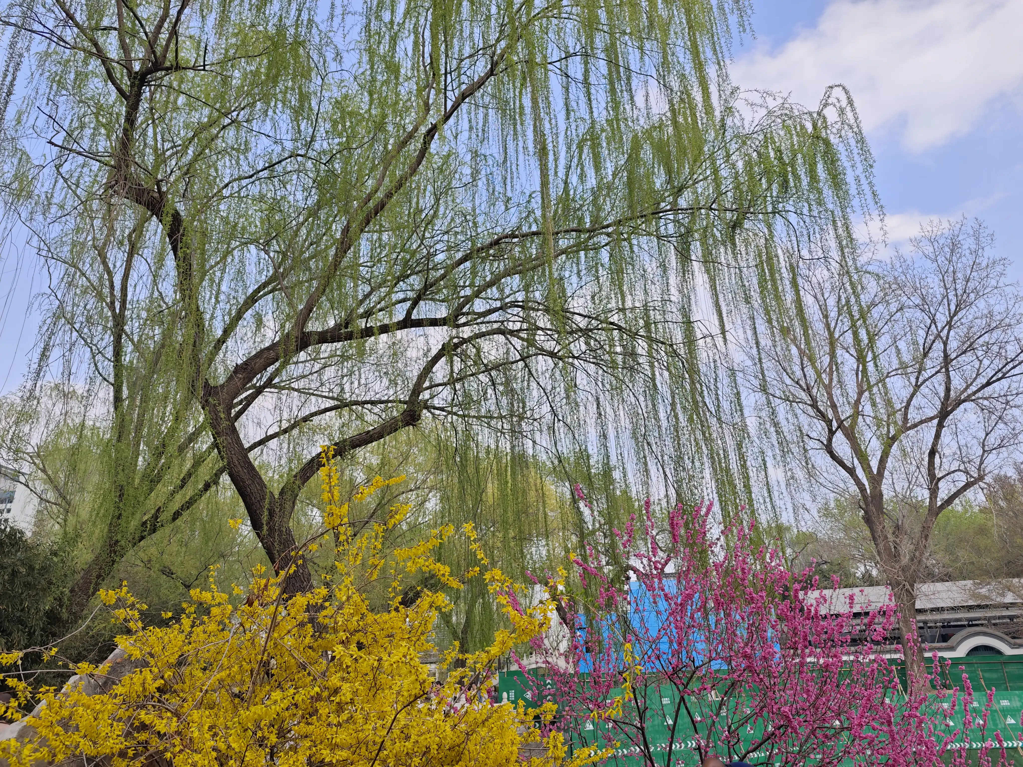 潦草